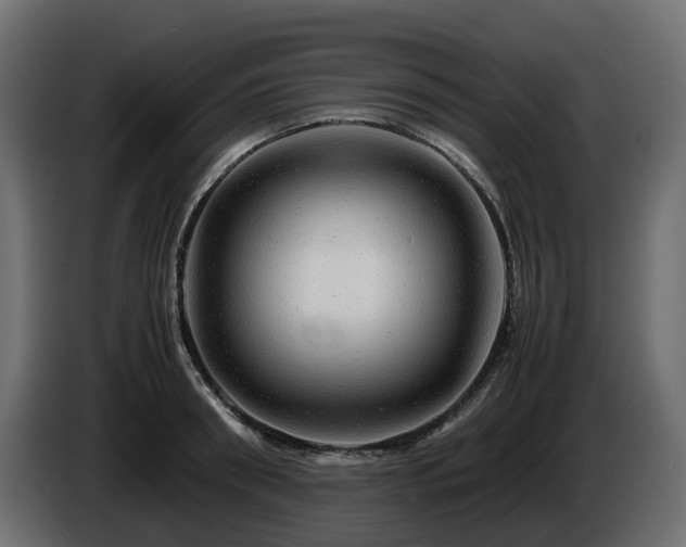 X0000085840898200703231440