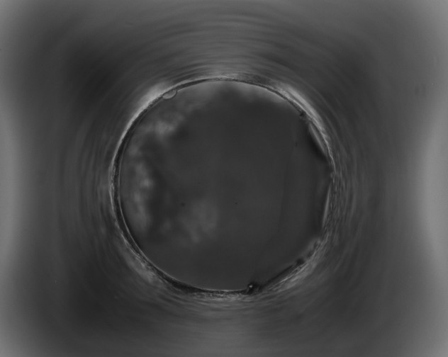 X0000085840899200703231440