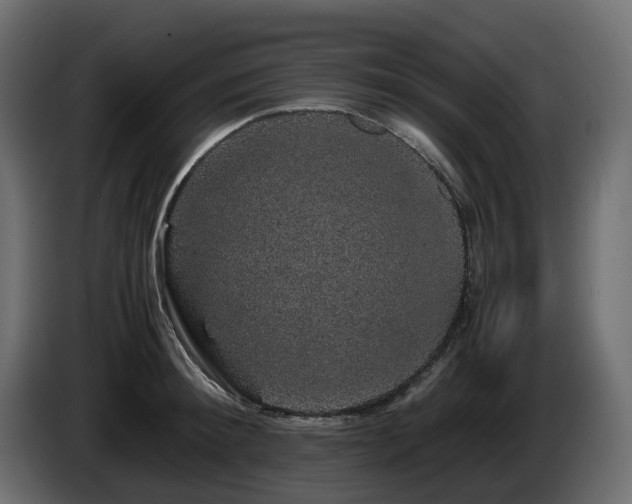 X0000085840900200703231440