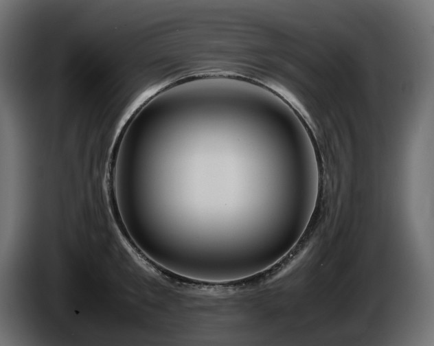 X0000085840901200703231440