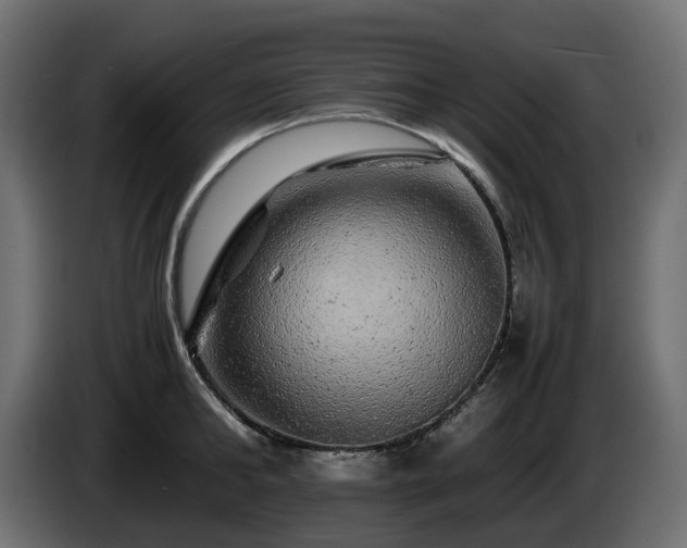 X0000085840902200703231440