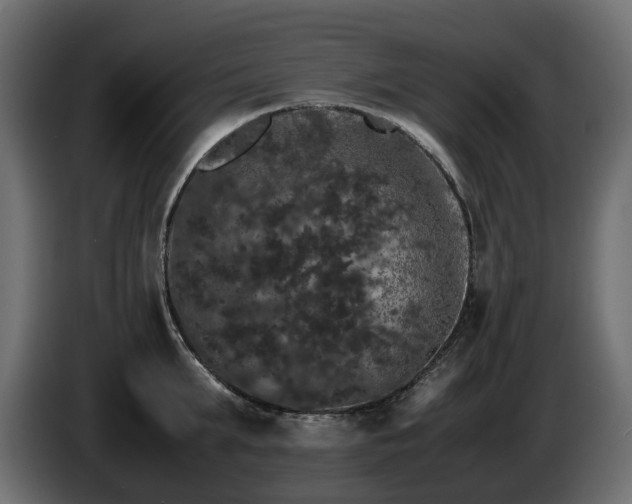 X0000085840903200703231439