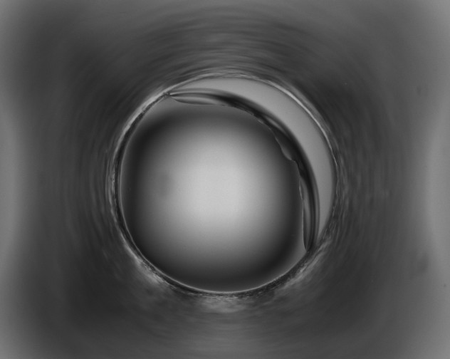 X0000085840909200703231439