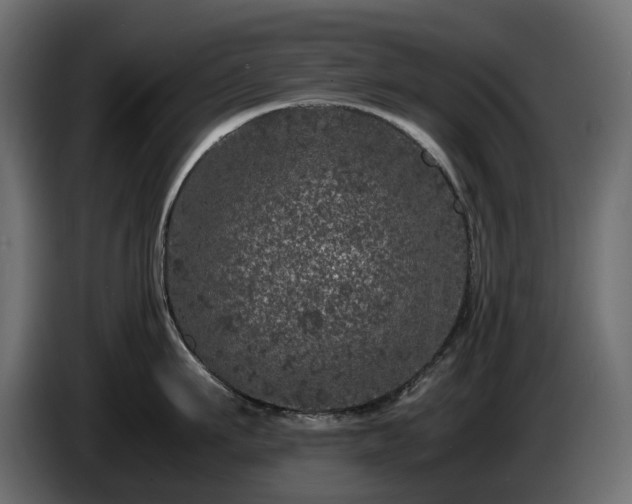 X0000085840911200703231439
