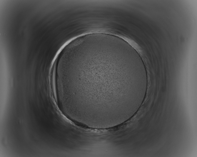 X0000085840912200703231439