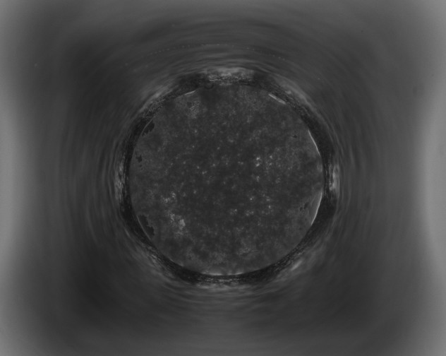 X0000085840915200703231439