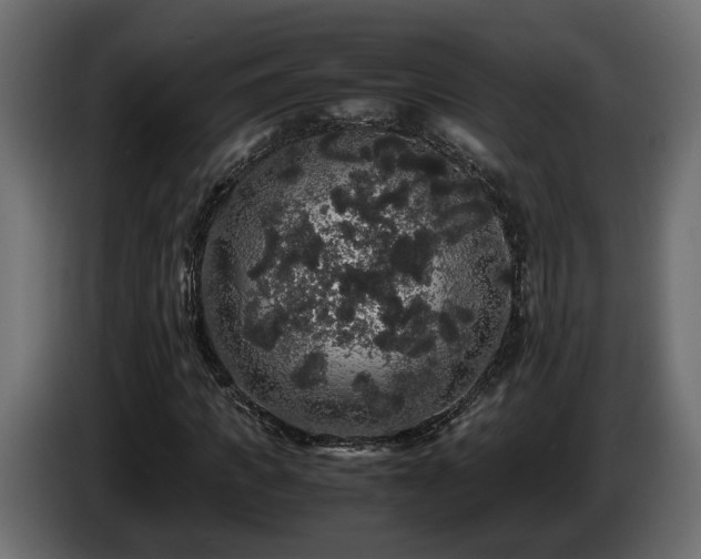 X0000085840917200703231439