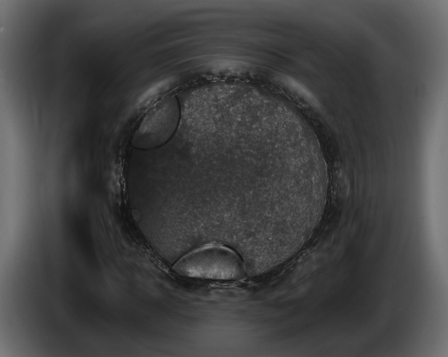 X0000085840918200703231439