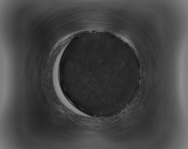 X0000085840920200703231439