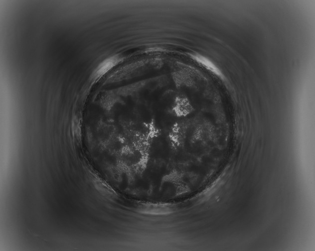 X0000085840921200703231439