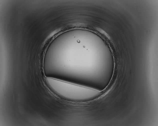 X0000085840922200703231439