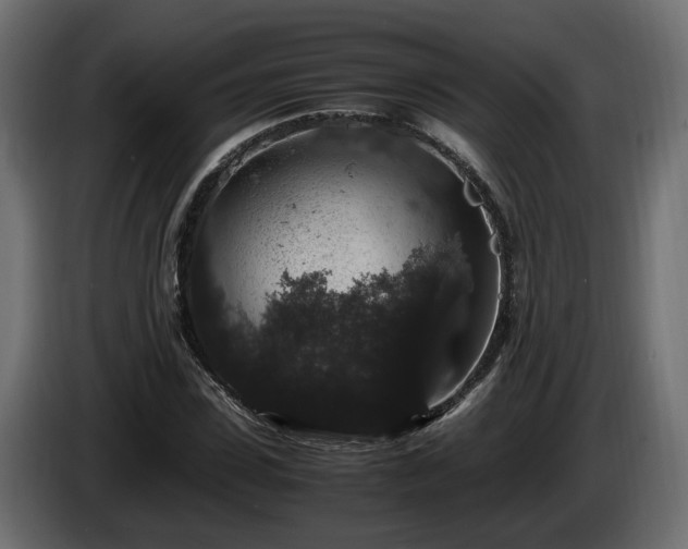 X0000085840923200703231439