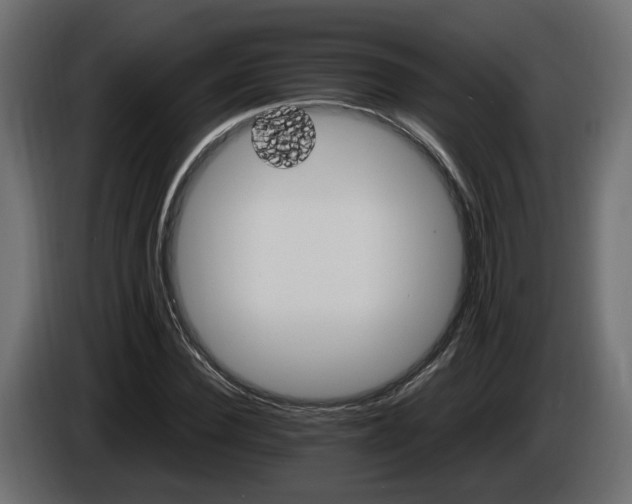 X0000085840924200703231439