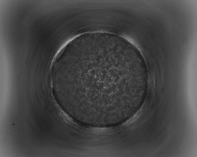 X0000085840925200703231439