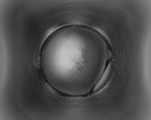X0000085840926200703231439