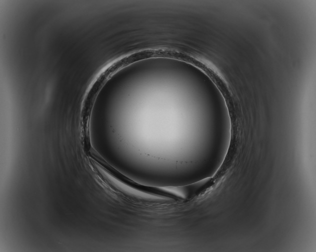 X0000085840927200703231439