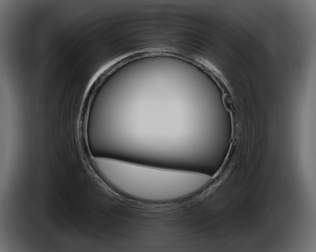 X0000085840928200703231439