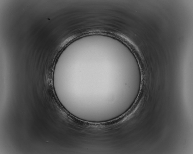 X0000085840929200703231439