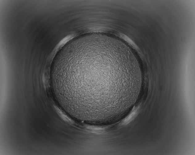 X0000085840930200703231439