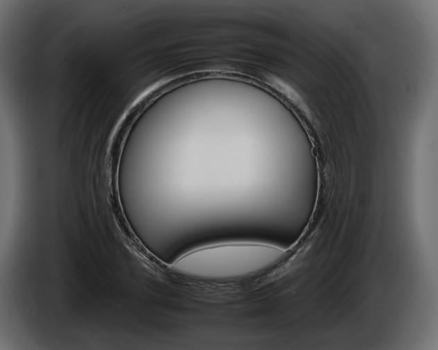 X0000085840931200703231439