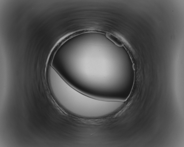 X0000085840932200703231439