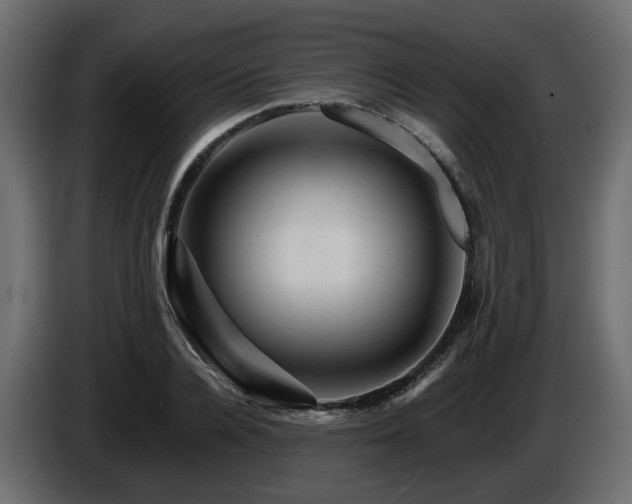 X0000085840936200703231439