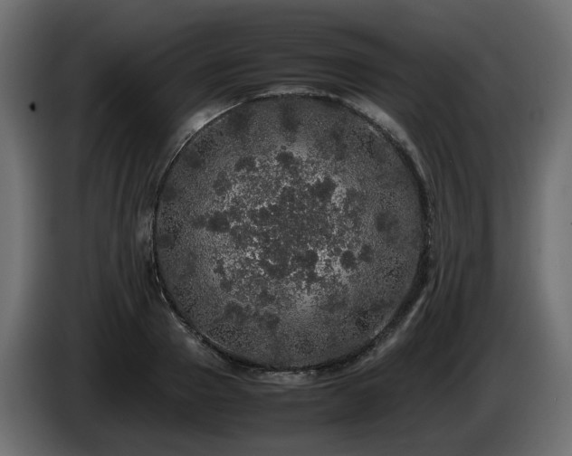 X0000085840937200703231439