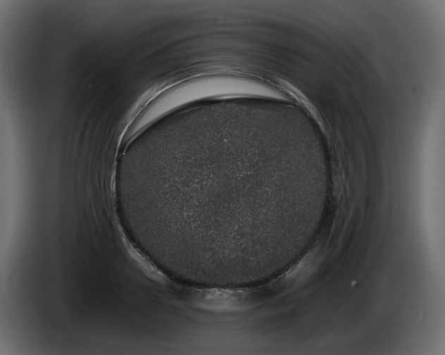 X0000085840938200703231439