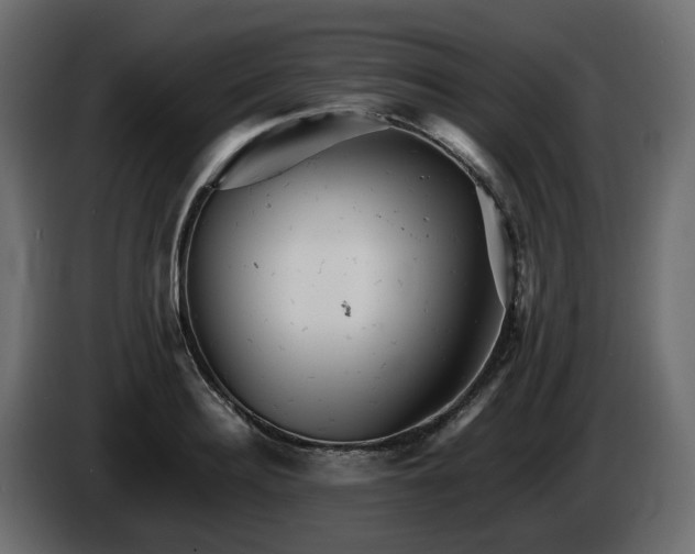 X0000085840940200703231439
