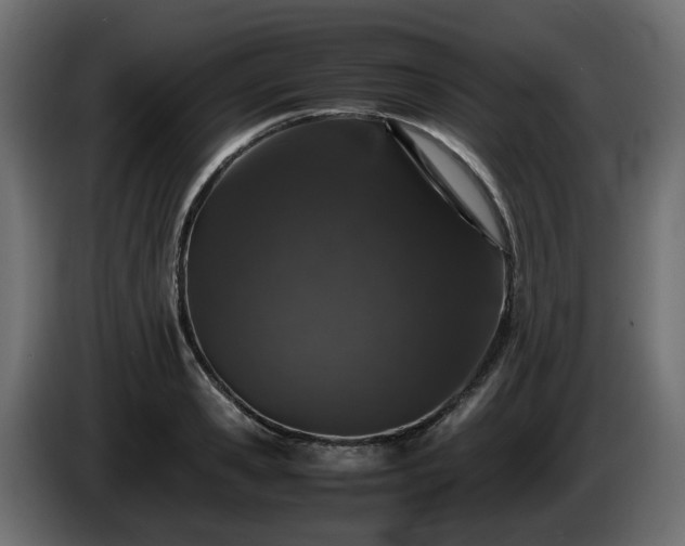 X0000085840941200703231439