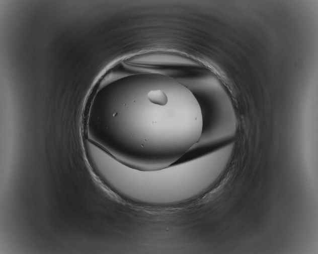X0000085840942200703231439