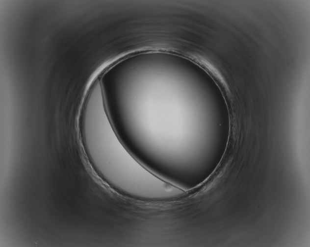 X0000085840944200703231439