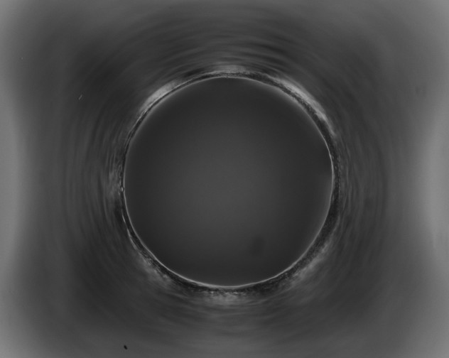 X0000085840945200703231439