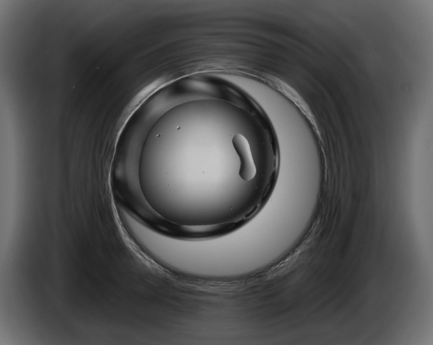 X0000085840946200703231439