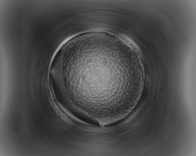 X0000085840948200703231439
