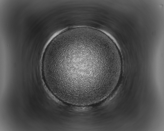 X0000085840949200703231439