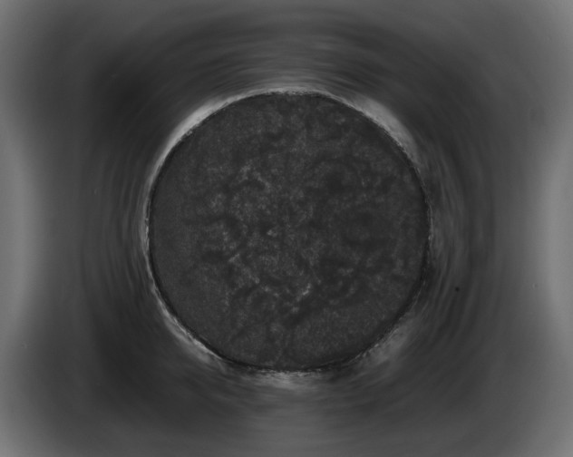 X0000085840950200703231439