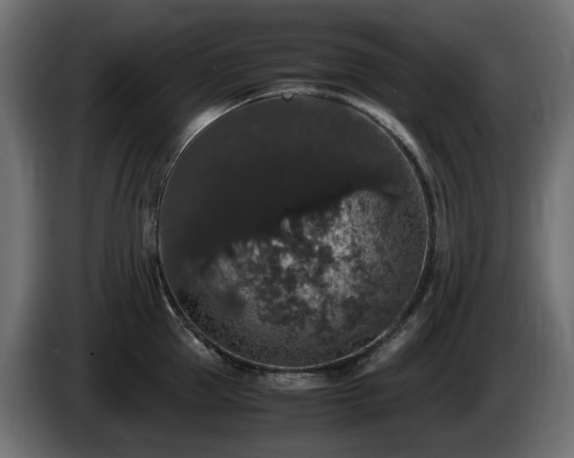 X0000085840953200703231439