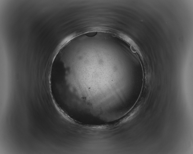 X0000085840954200703231439