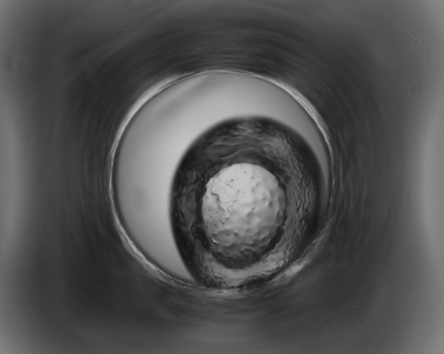 X0000085840957200703231439