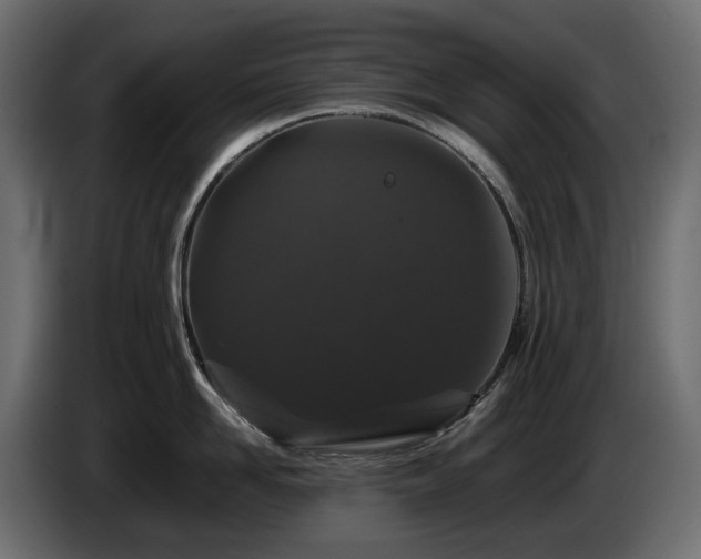X0000085840958200703231439