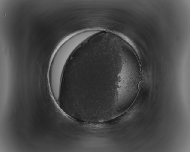 X0000085840959200703231439