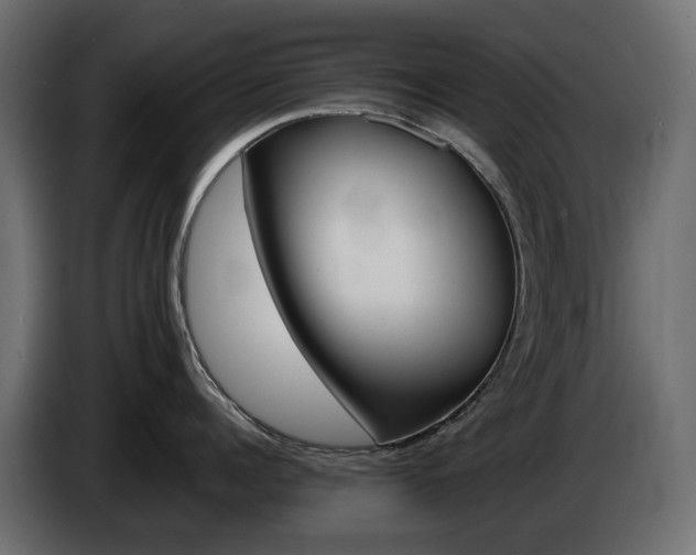 X0000085840960200703231439