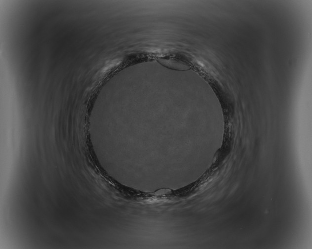 X0000085840961200703231439