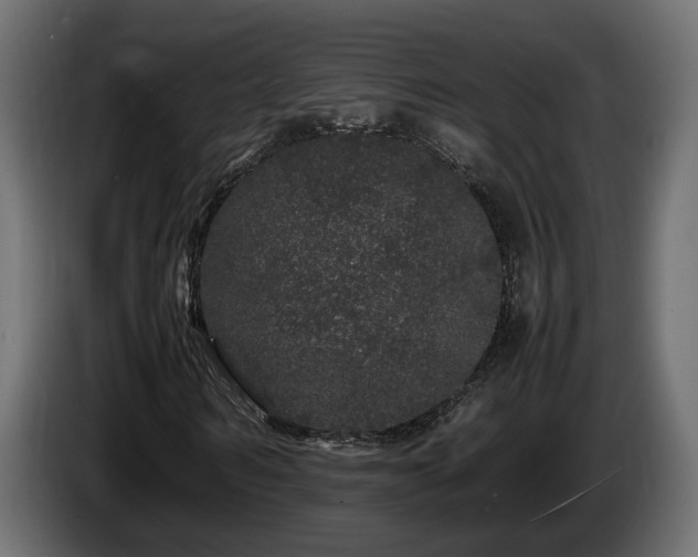 X0000085840962200703231439