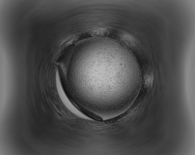 X0000085840964200703231439
