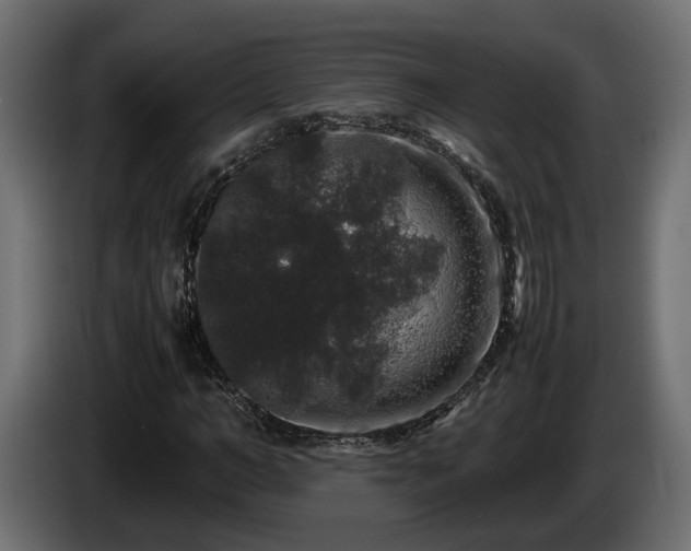 X0000085840966200703231439