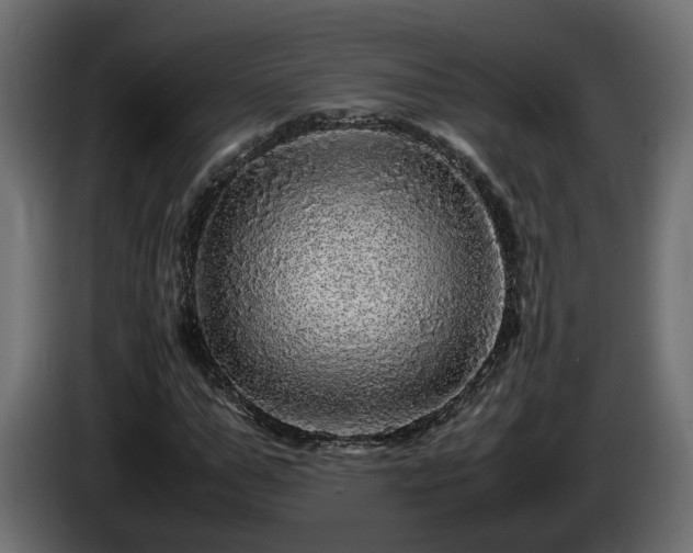 X0000085840967200703231439