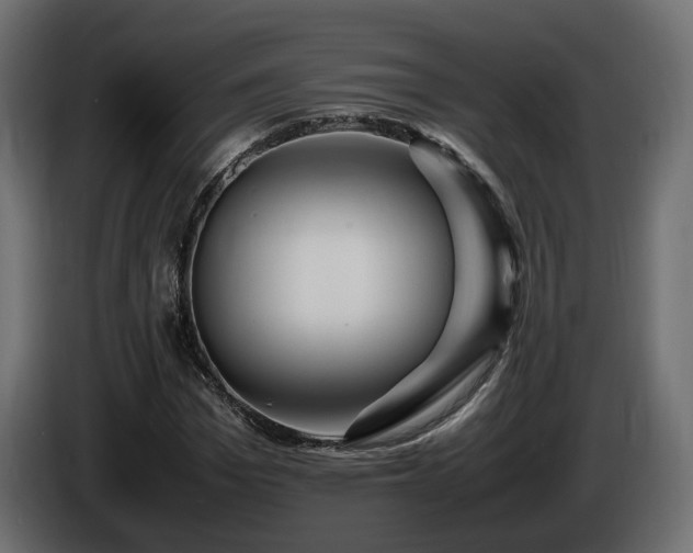X0000085840969200703231439