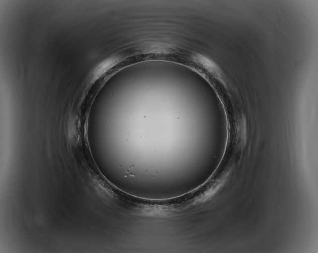 X0000085840970200703231439